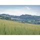 Search_OLD COUNTRY HOUSE IN PANORAMIC POSITION IN LE MARCHE Farmhouse to restore with beautiful views of the surrounding hills for sale in Italy in Le Marche_28
